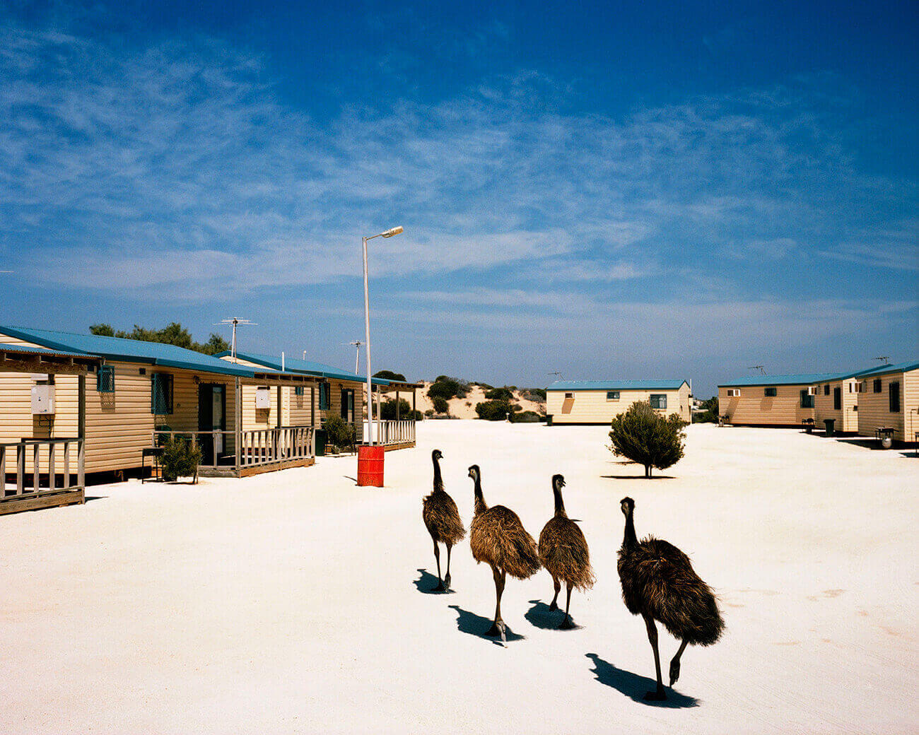 Trent Parke