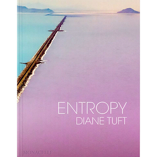 Entropy By Diane Tuft