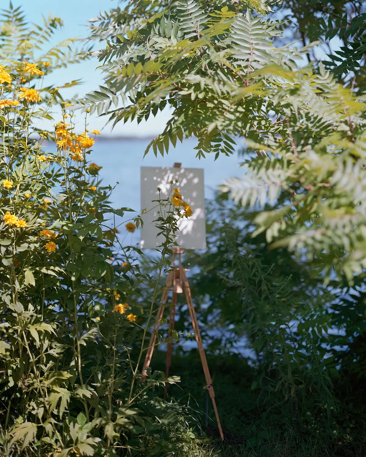 Alec Soth