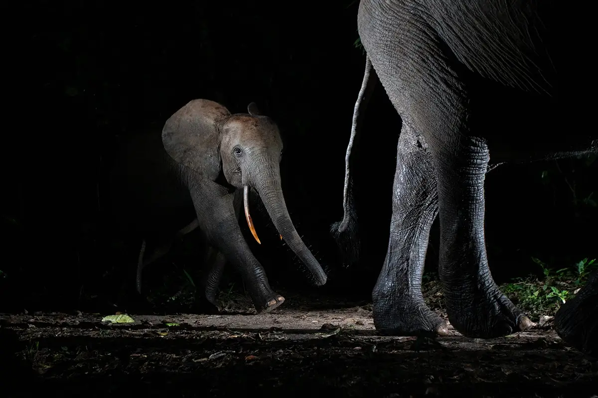 Will Burrard-Lucas