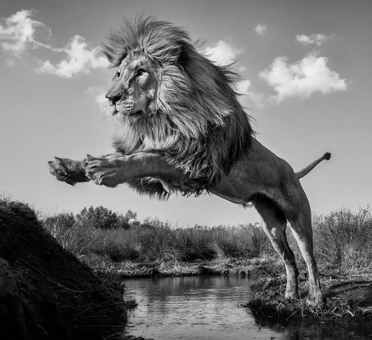 David Yarrow