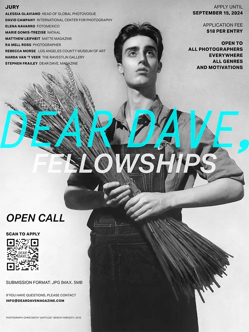 Dear Dave, Fellowships