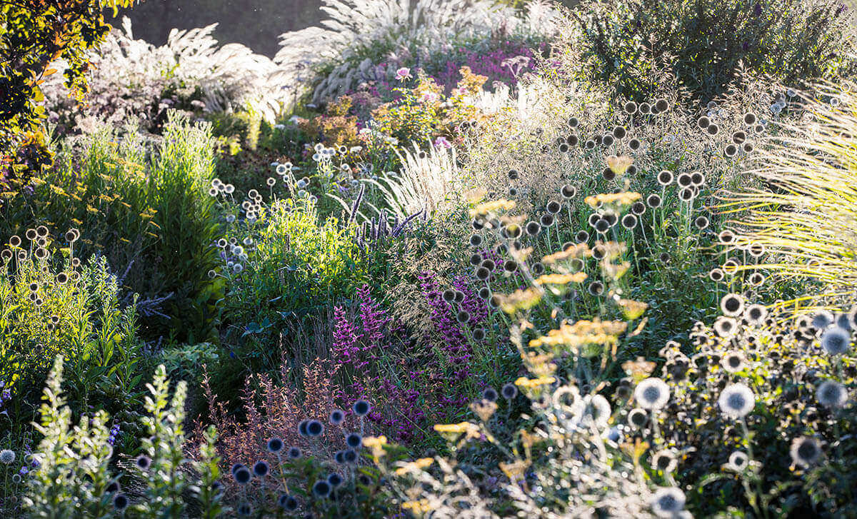 International Garden Photographer of the Year