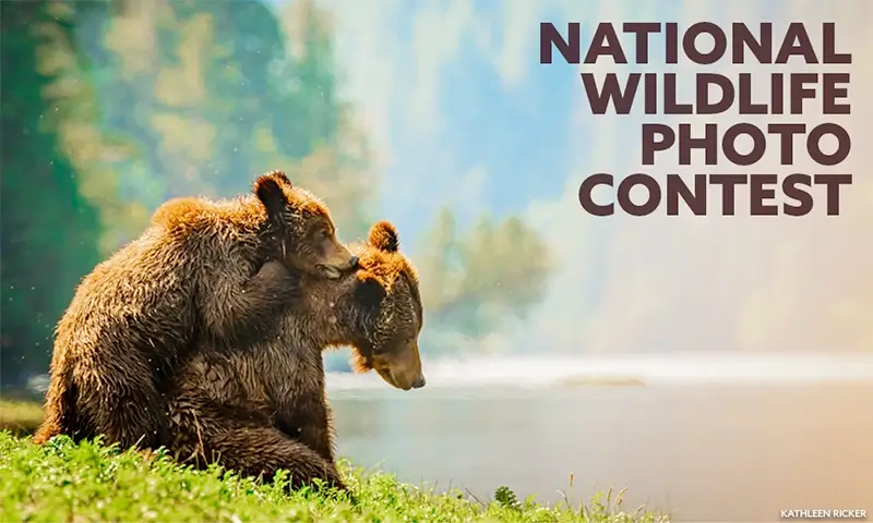 2025 National Wildlife Photo Contest