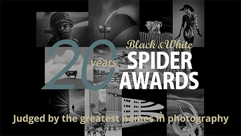 Black and White Spider Awards 2025