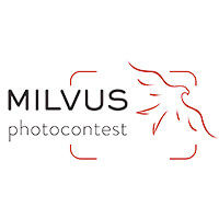 Milvus Photo Contest