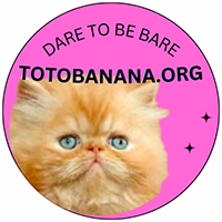 TOTO BANANA Grant Open Call