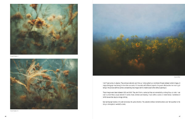 AAP Magazine #51: COLORS