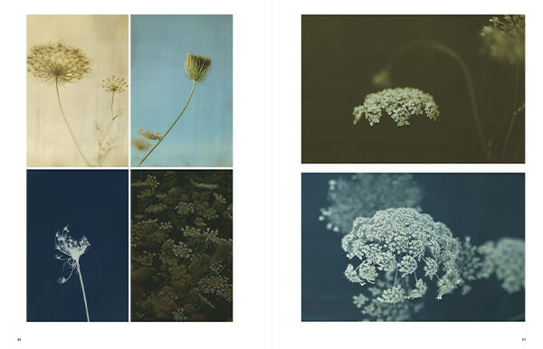 AAP Magazine #54: NATURE