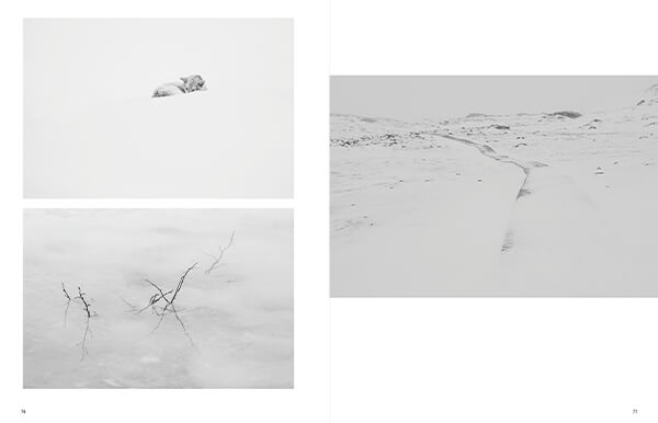 AAP Magazine #54: NATURE