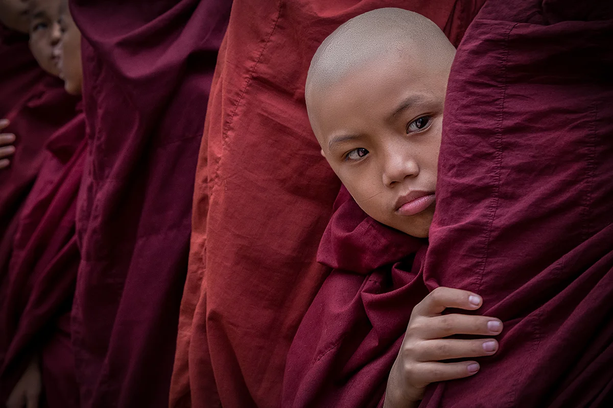 Curious Monk © Giovanna Photography<p>© Giovanna Aryafara</p>