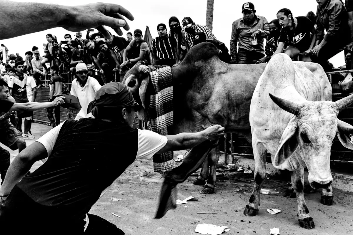 Mexicans Project - La Fiesta de La Candelaria<p>© Nicola Balestrazzi</p>