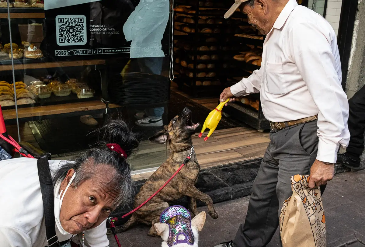 Mexicans Project - Mexico City Street<p>© Nicola Balestrazzi</p>