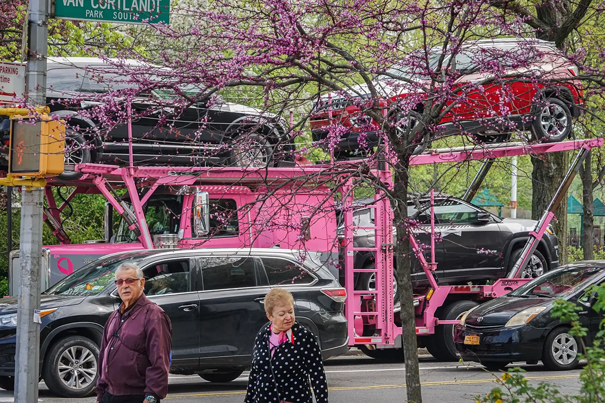 Bronx NY 2019<p>© Denis Church</p>