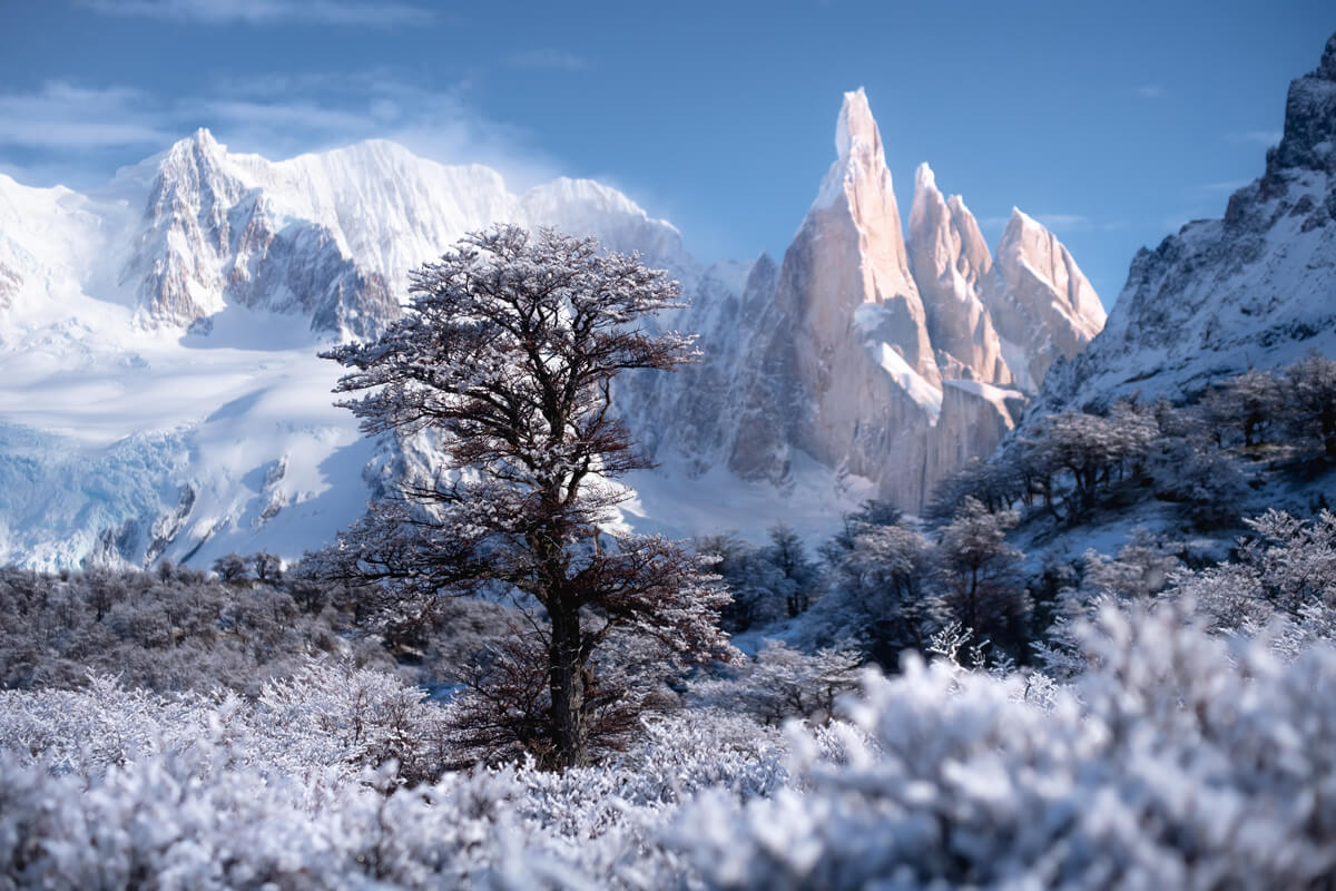 Winter wonderland, Patagonia<p>© Nicolas Castermans</p>