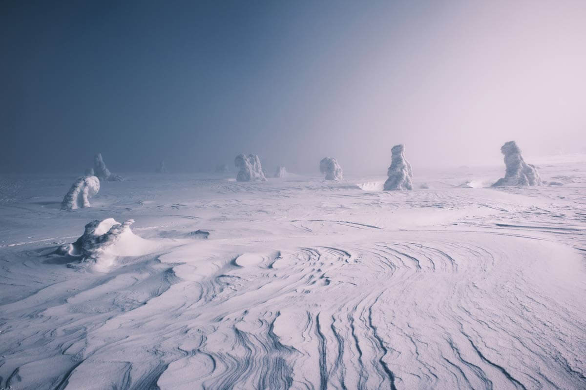 Frozen migration, Poland<p>© Nicolas Castermans</p>