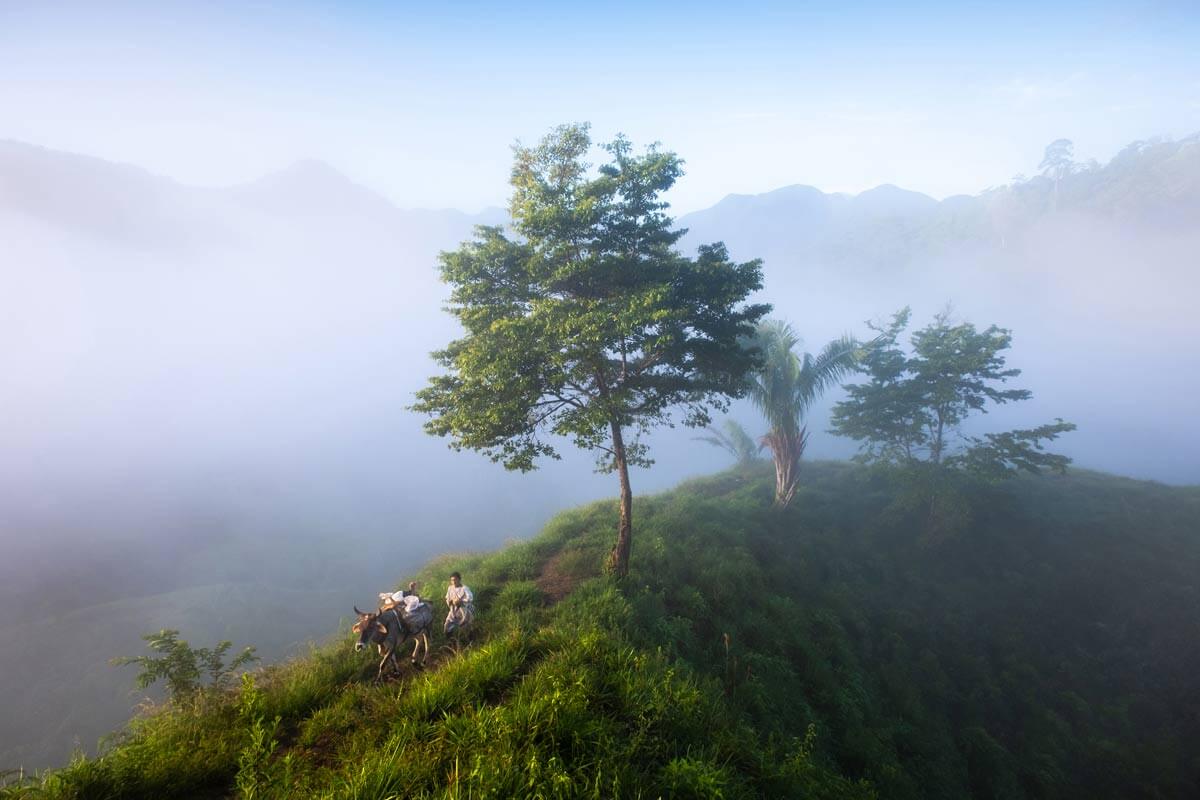 Harmony, Colombia<p>© Nicolas Castermans</p>