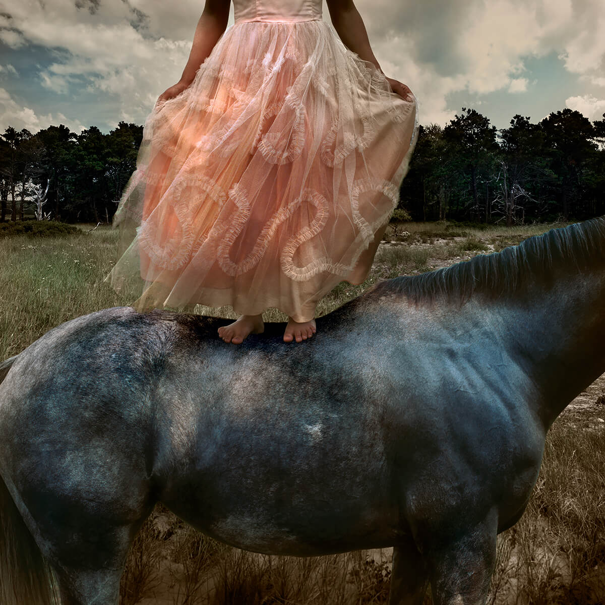 Prom Gown #2<p>© Tom Chambers</p>