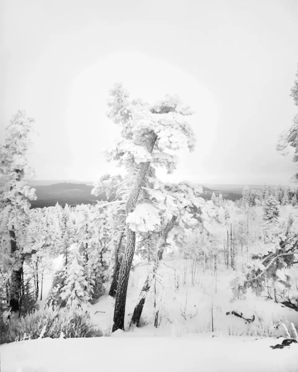 Until the Wind Stopped<p>© Eugene Ellenberg</p>