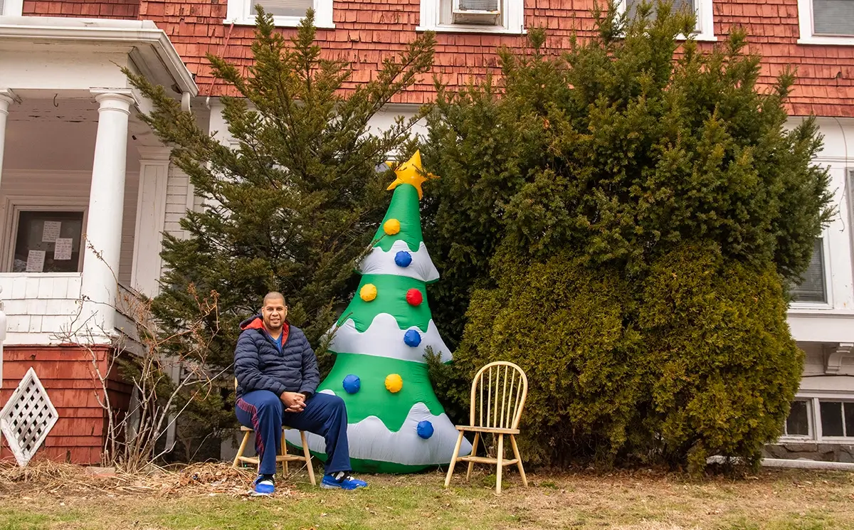 Xmas Trees<p>© Sandy Hill</p>