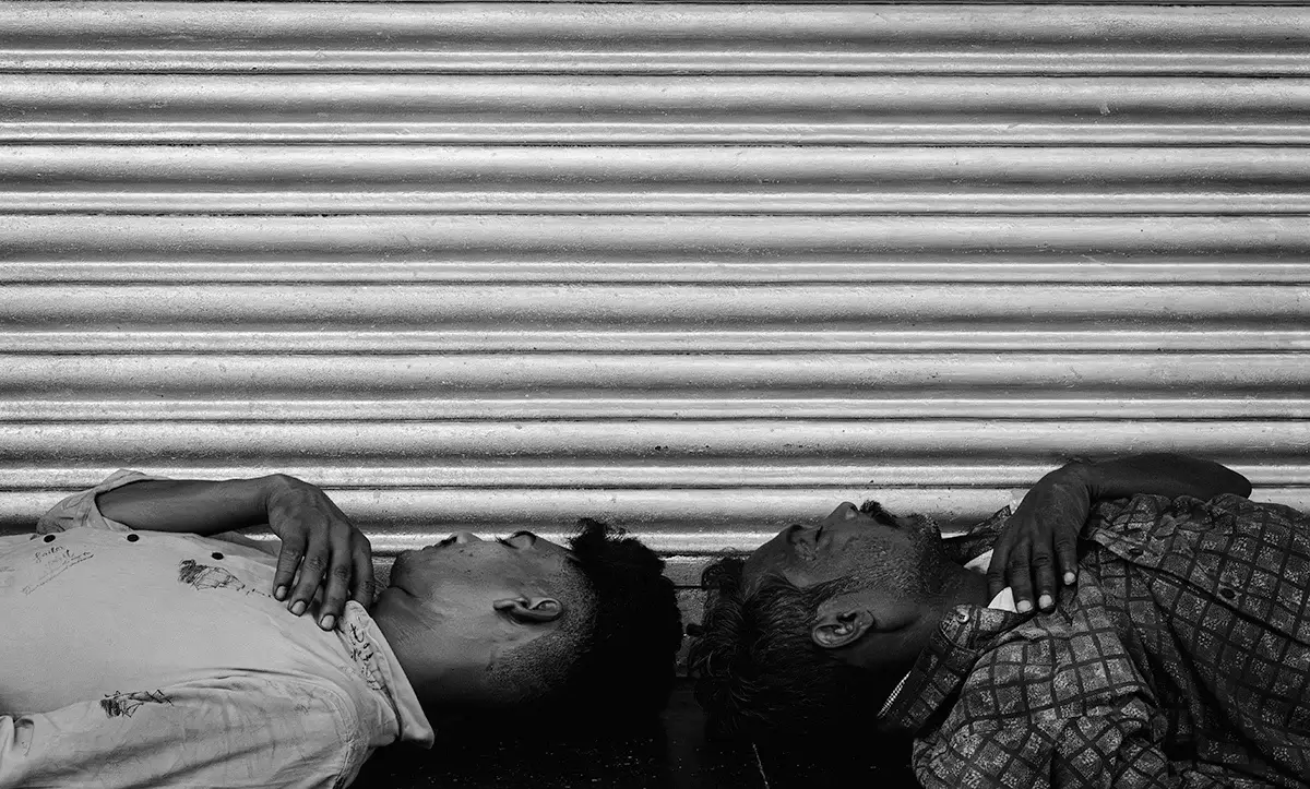 Sleeping Beauties<p>© Devanshu Jha</p>