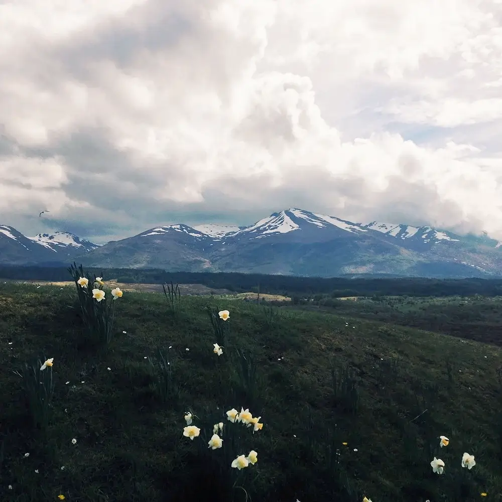 <p>© Zhang Jingna</p>