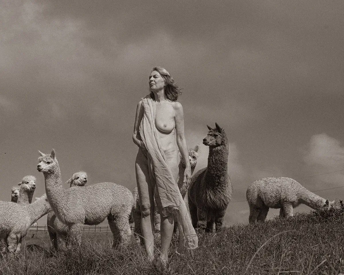 <p>&copy; Angelika Kollin</p>