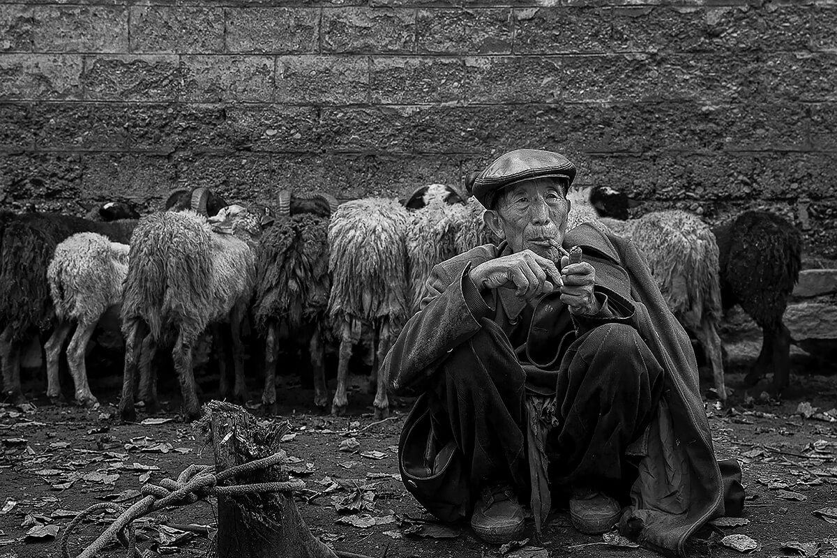 Sheep peddler<p>© Haikun Liang</p>