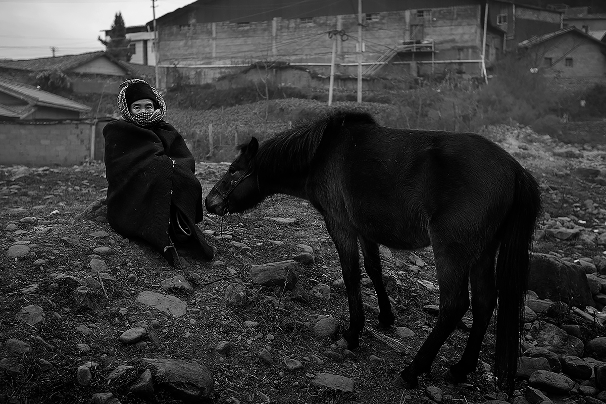Horse Peddler 2<p>© Haikun Liang</p>