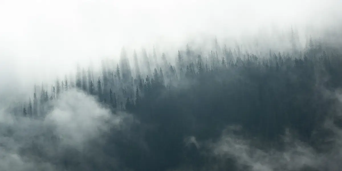 Rabbit Ears Mist, Colorado<p>© Debbie McCulliss</p>