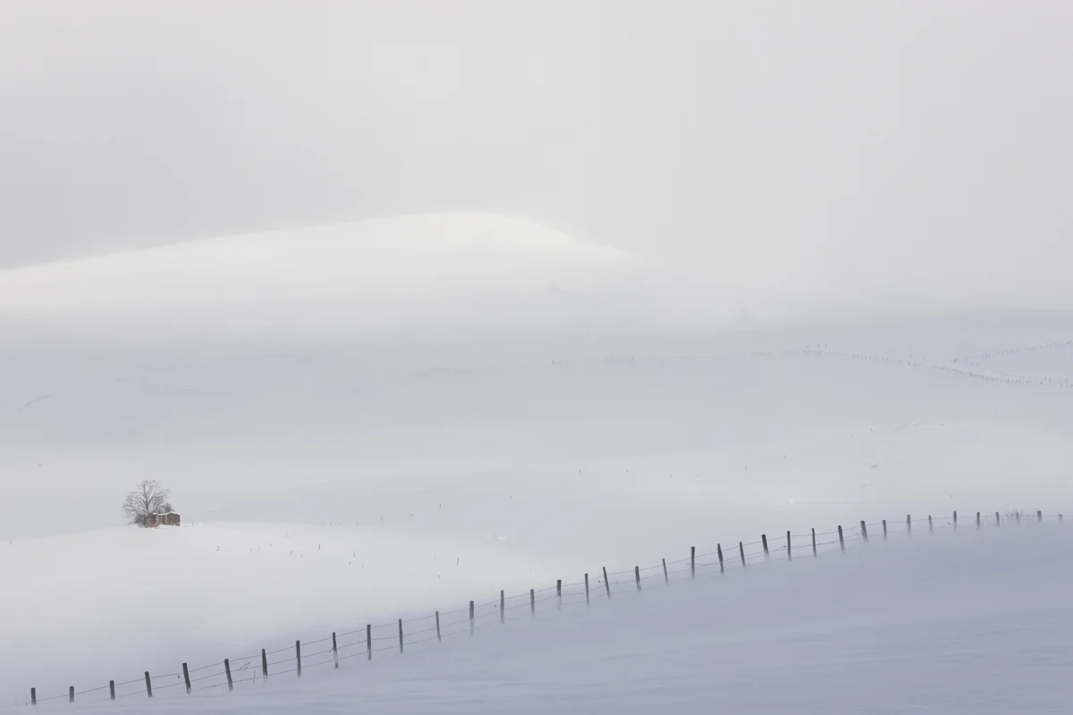 Dernières neiges ? (Last Snow?)<p>©  Mam'AT</p>