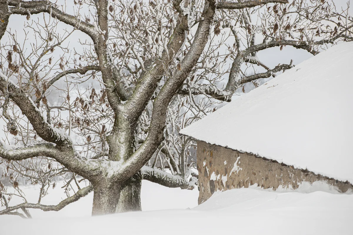 Dernières neiges ? (Last Snow?)<p>©  Mam'AT</p>