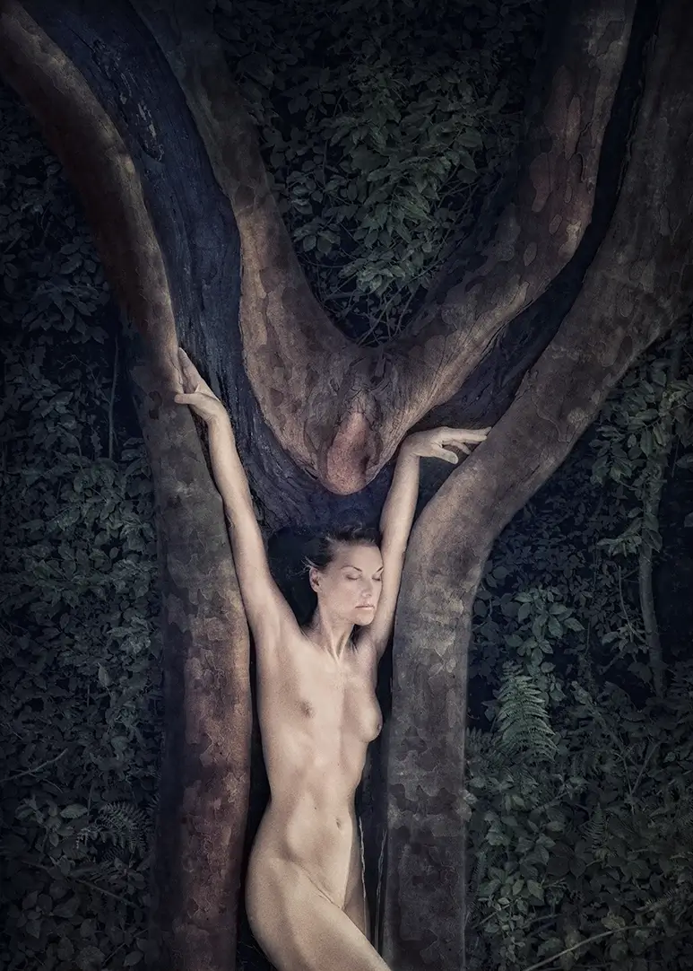 <p>© William Ropp</p>