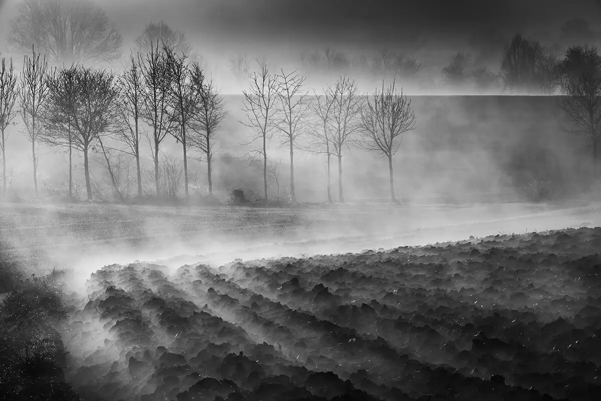 Foggy land<p>© Eddy Verloes</p>