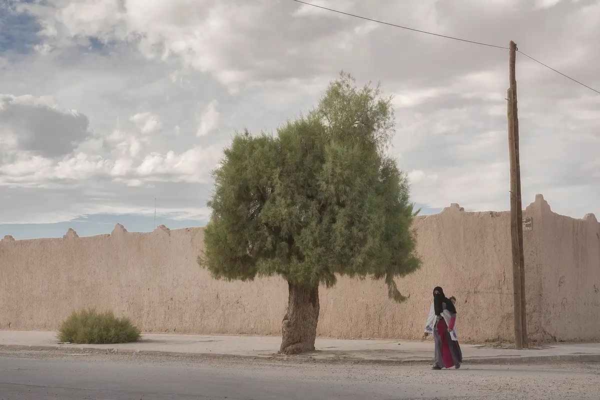 Waiting for Palms - A Mother Baby and Tree<p>© Peter Ydeen</p>