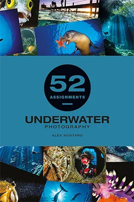 52 Assignments: Underwater Photography