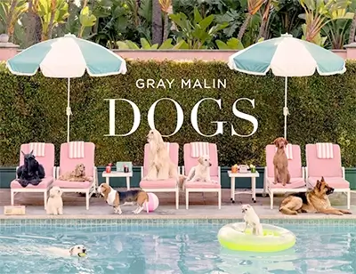 Gray Malin: Dogs