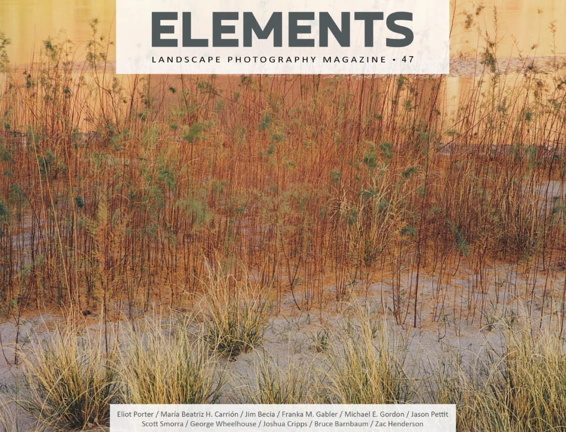 Elements Magazine