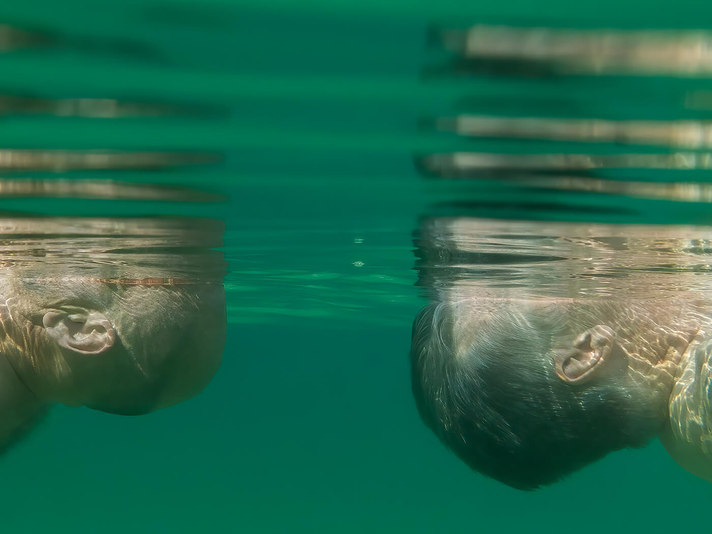 exhibition-ann-prochilo-this-is-water